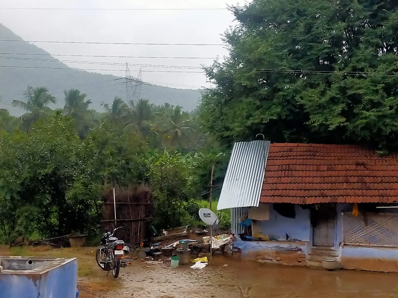 भारत के एक गाँव में बना घर और उसके आसपास पेड़